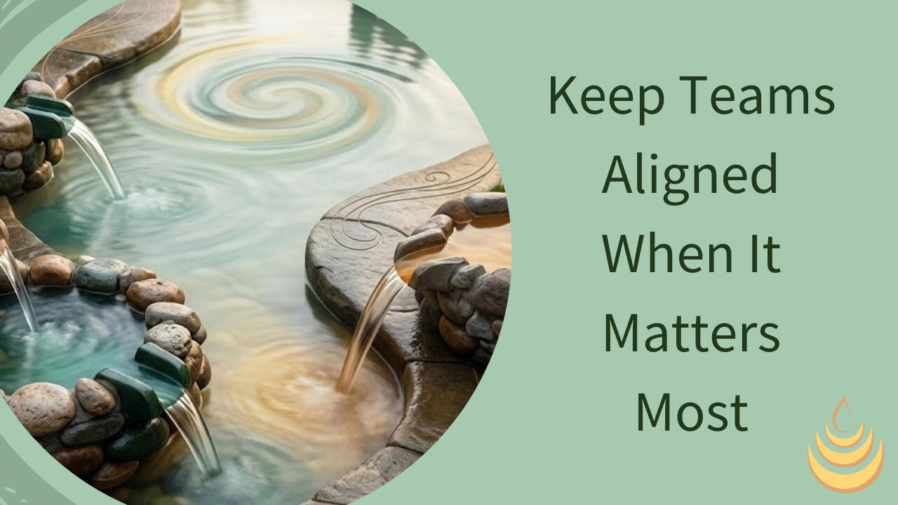 Shared Pool of Meaning